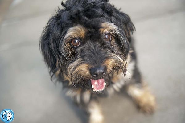 Teo: Il Riscatto Di Un Piccolo Guerriero